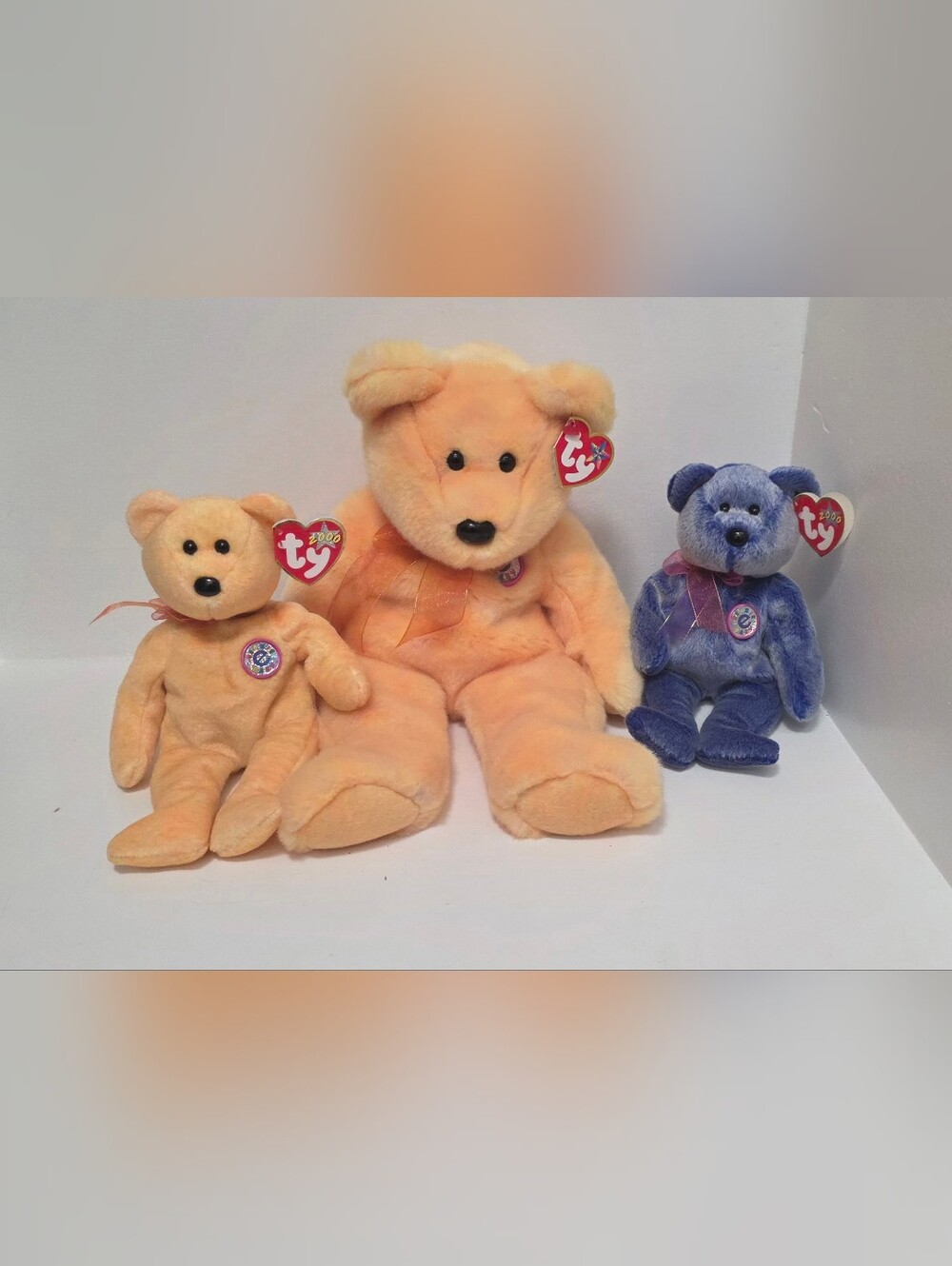 TY Sunny and Periwinkle the e-Bears Plush
